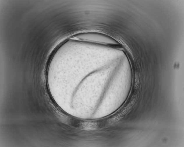 X0000099400789200806051206