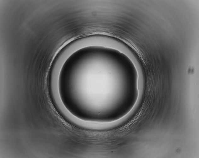 X0000099400790200806051206