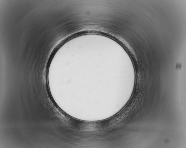 X0000099400791200806051206