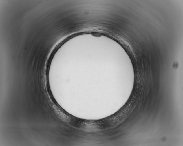 X0000099400792200806051206