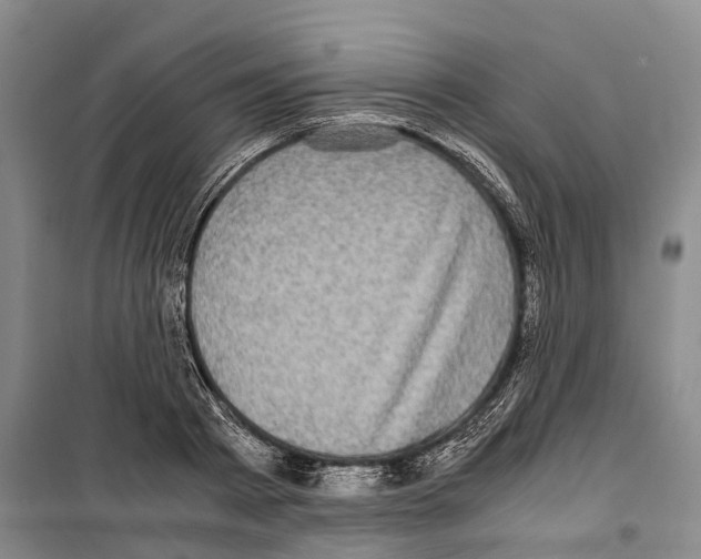 X0000099400793200806051206
