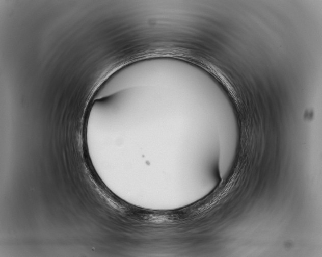 X0000099400794200806051206
