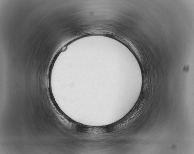 X0000099400795200806051206