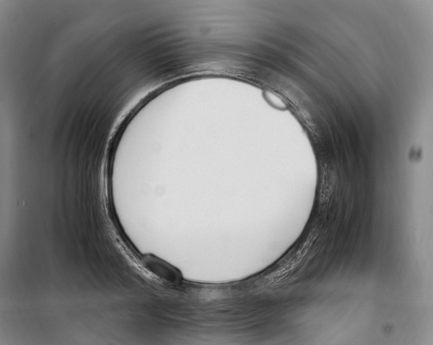 X0000099400796200806051206