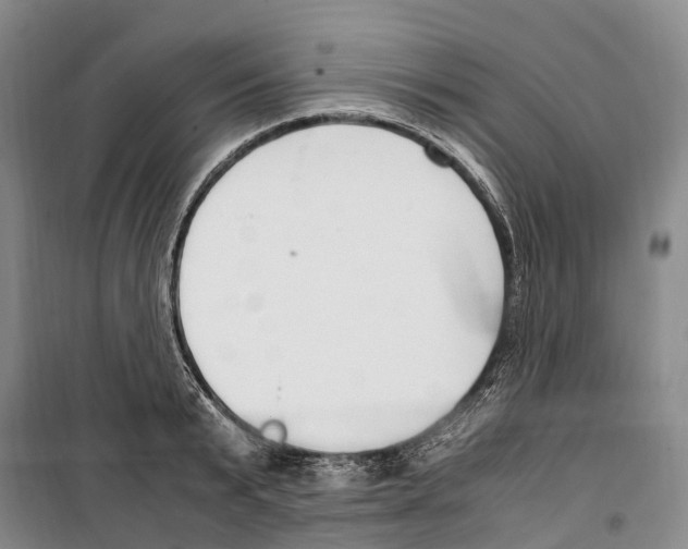 X0000099400799200806051206