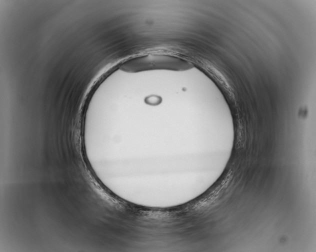 X0000099400800200806051206