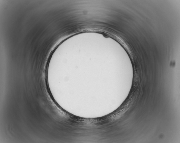 X0000099400803200806051206