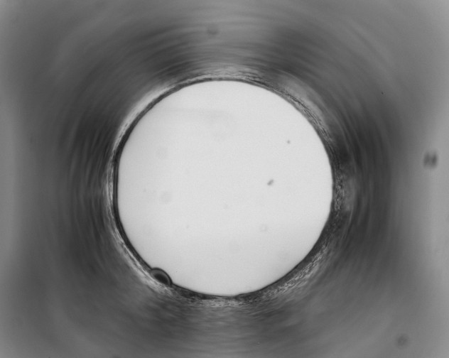 X0000099400804200806051206
