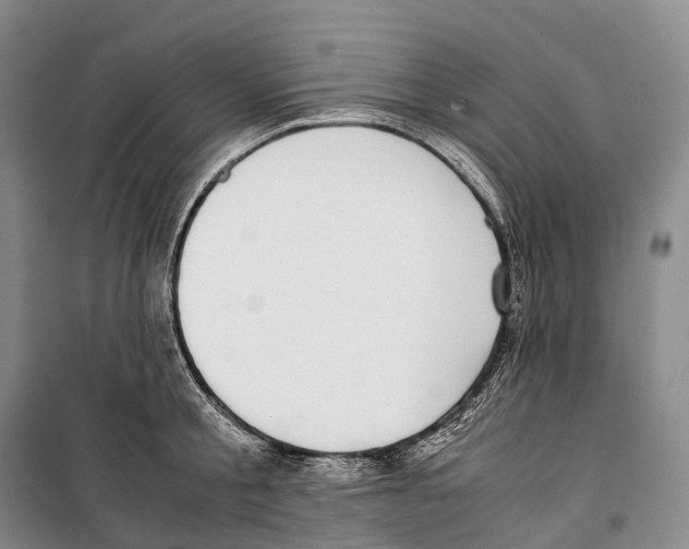 X0000099400805200806051206