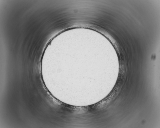X0000099400807200806051206