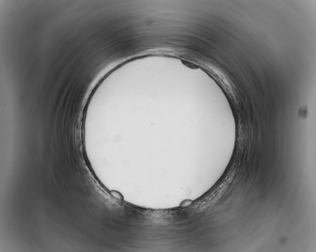 X0000099400808200806051206