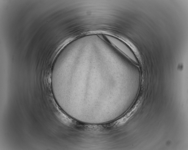 X0000099400809200806051206