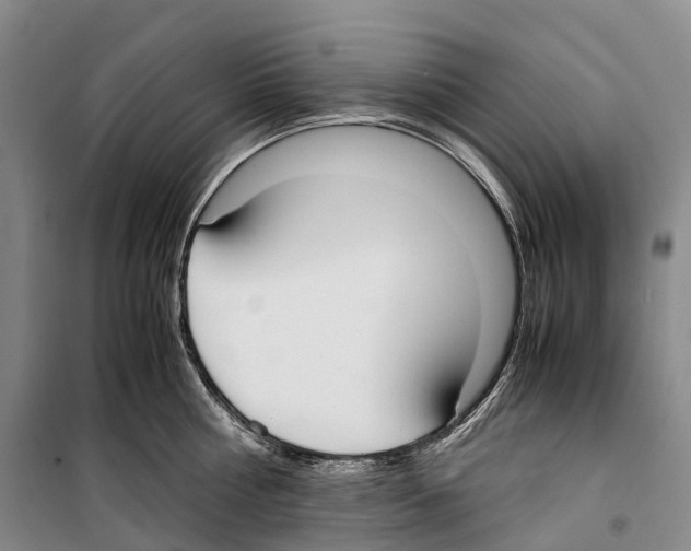 X0000099400810200806051206