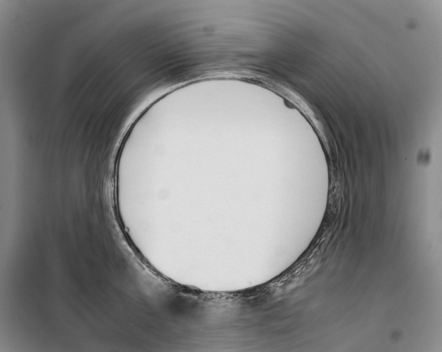 X0000099400811200806051206