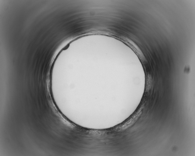 X0000099400812200806051206