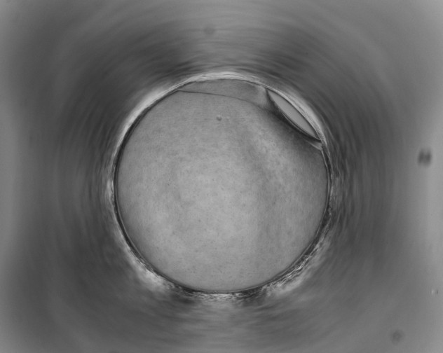 X0000099400813200806051206