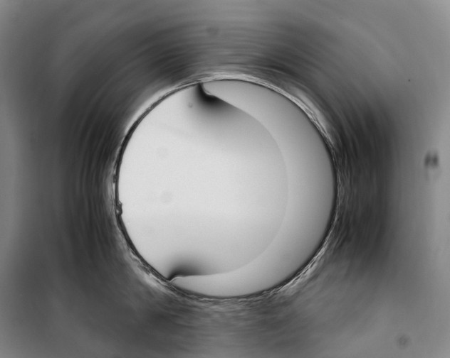 X0000099400814200806051206