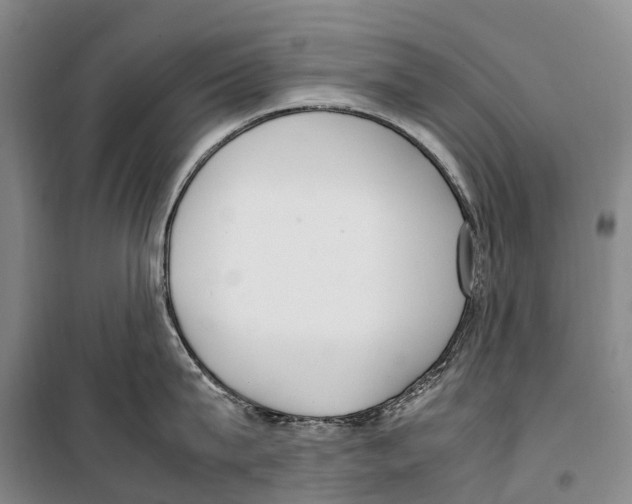 X0000099400815200806051206