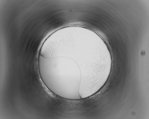X0000099400816200806051206
