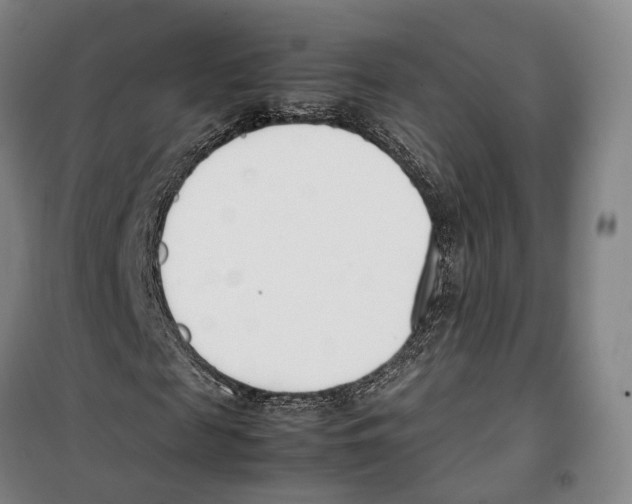X0000099400817200806051205