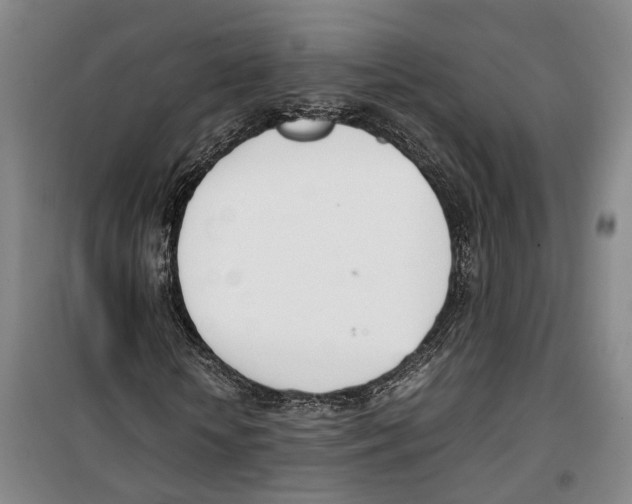 X0000099400818200806051205