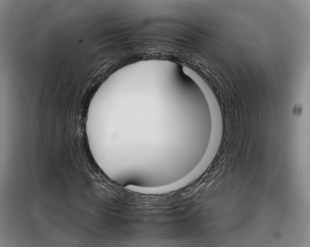 X0000099400819200806051205