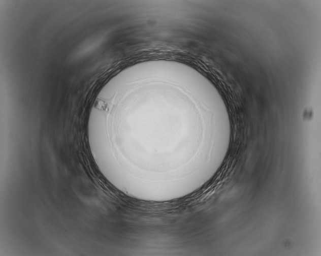 X0000099400820200806051205