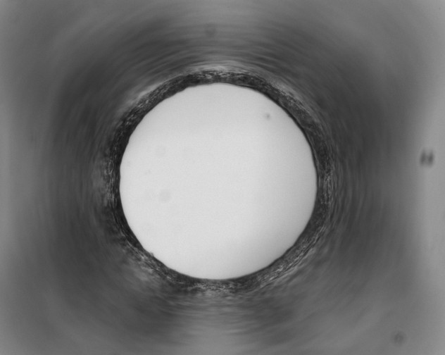 X0000099400822200806051205