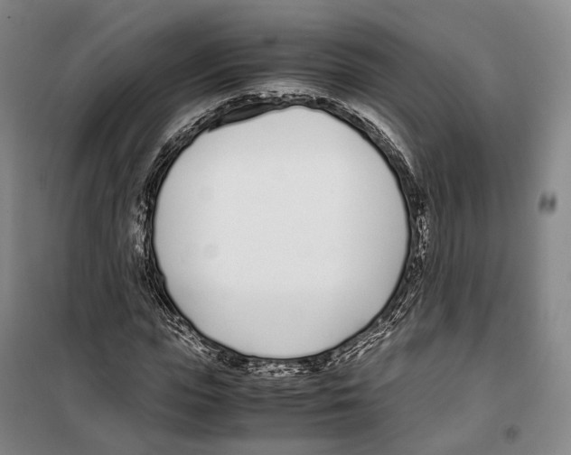 X0000099400823200806051205