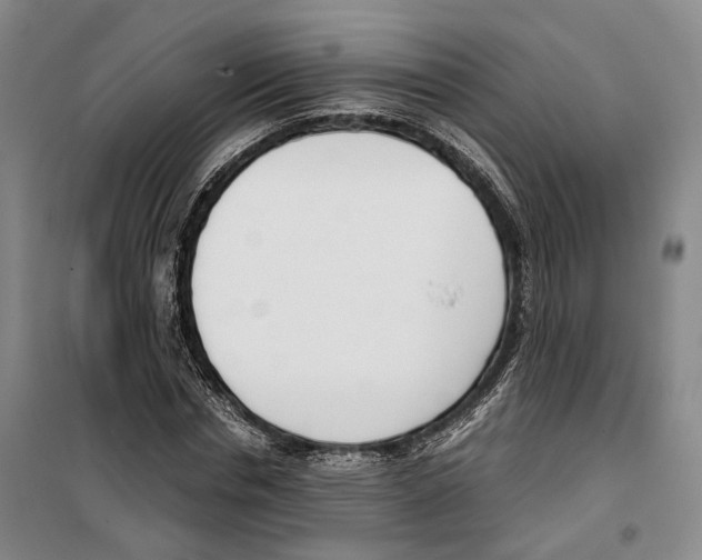 X0000099400826200806051205