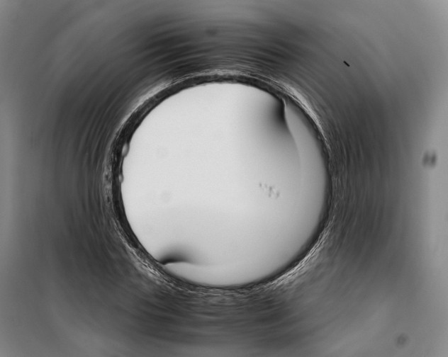 X0000099400827200806051205