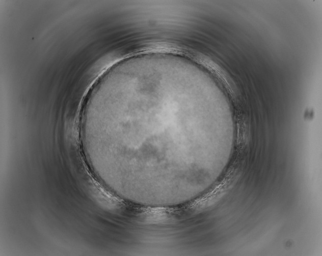X0000099400828200806051205