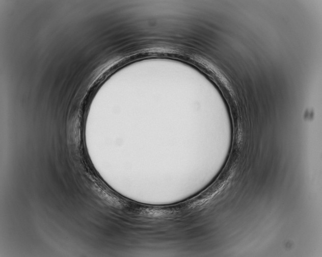 X0000099400829200806051205