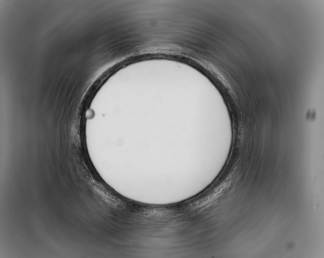 X0000099400830200806051205