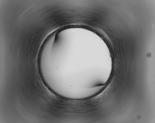 X0000099400831200806051205