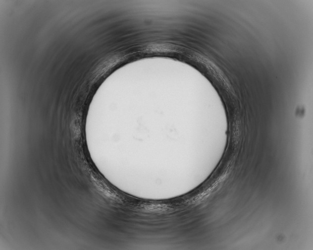 X0000099400833200806051205