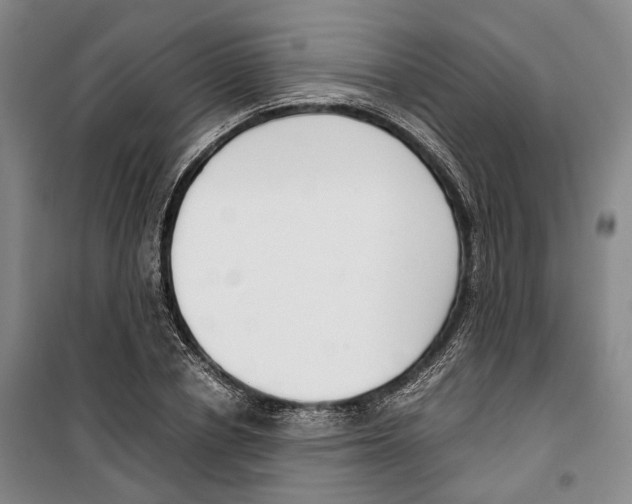 X0000099400834200806051206