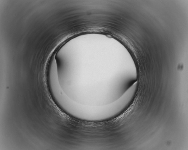 X0000099400835200806051206