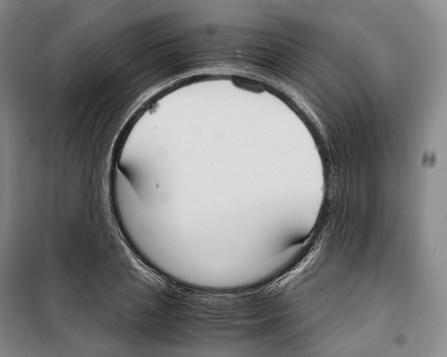 X0000099400837200806051206