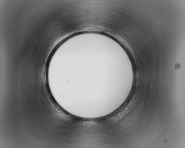 X0000099400838200806051206