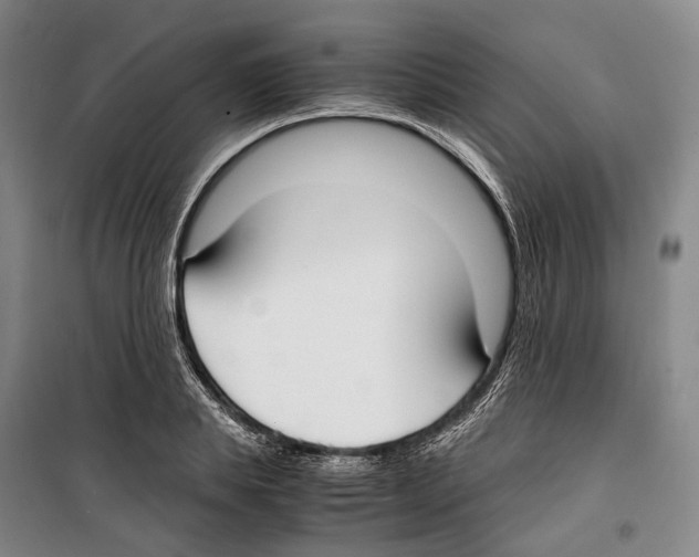 X0000099400839200806051206