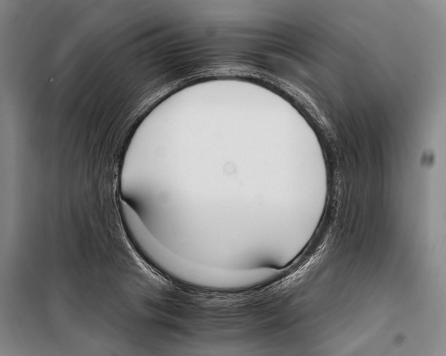 X0000099400841200806051206