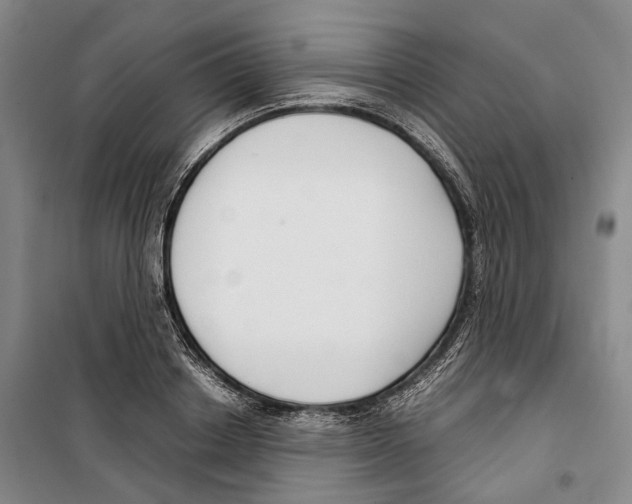 X0000099400842200806051206
