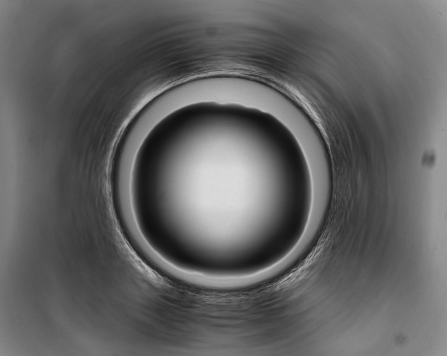 X0000099400843200806051206