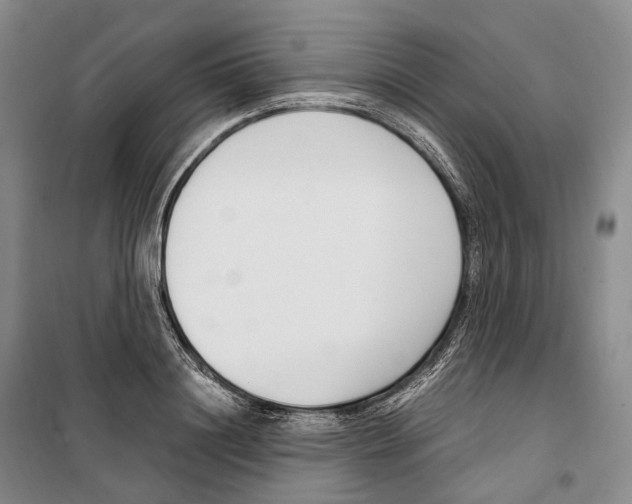 X0000099400844200806051206