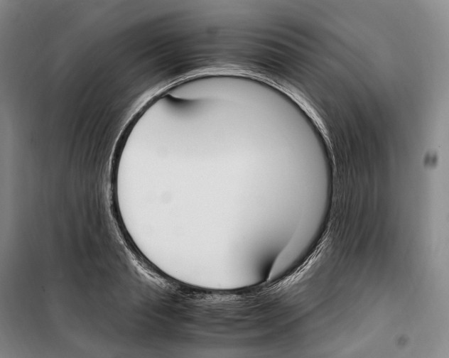 X0000099400845200806051206