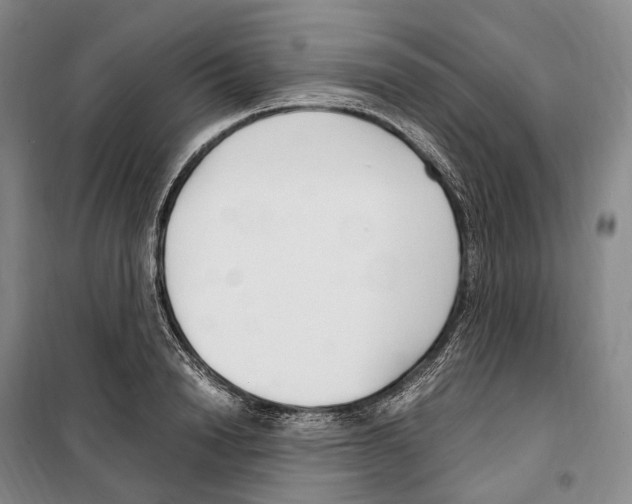 X0000099400846200806051206