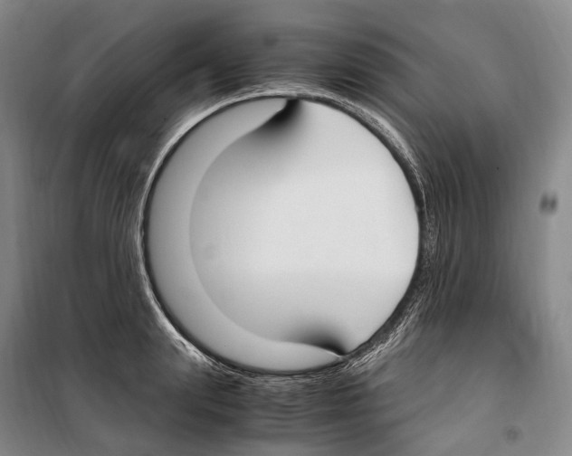 X0000099400847200806051206