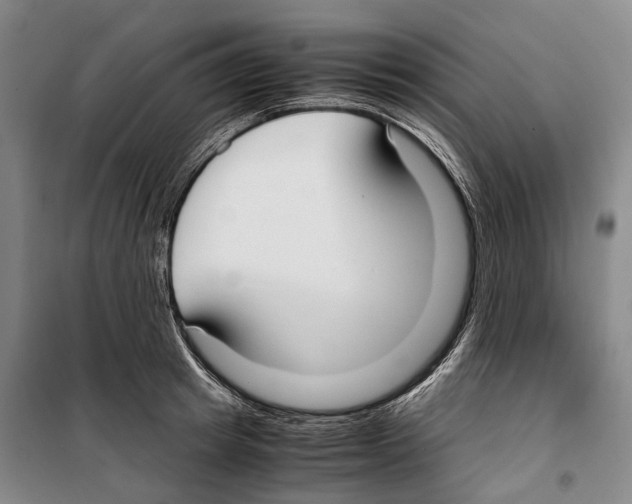 X0000099400849200806051206
