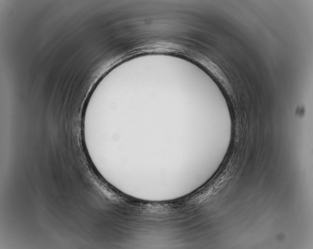 X0000099400850200806051206